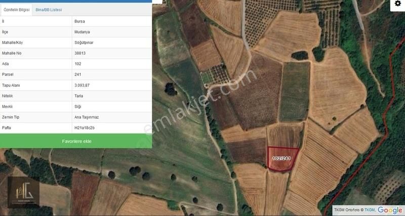 Mudanya Söğütpınar'da Satılık 3093m² Tek Tapu Arazi!