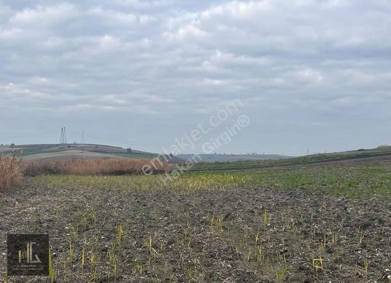 Hakan Girgin'den Karacabey Karakoca'da Satılık 1100m² Arazi!