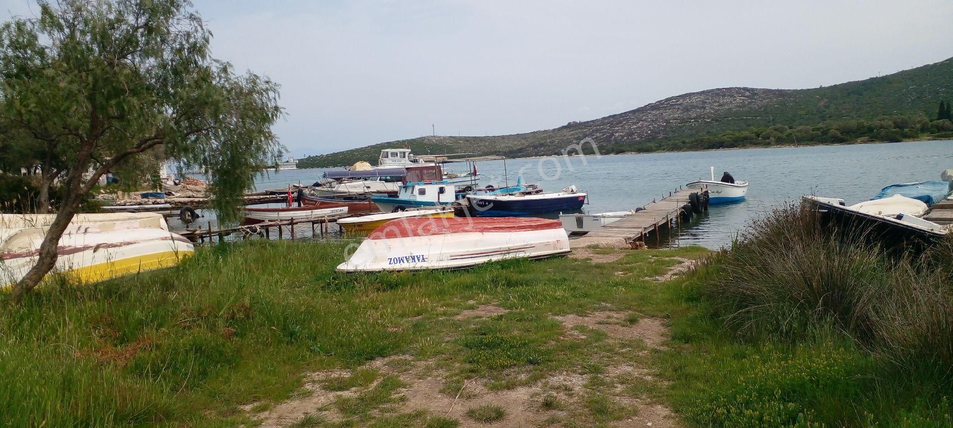 Mor Çiçek Emlak Karaburun Mordoğan Körfez Mevki Arsa - Görsel 13