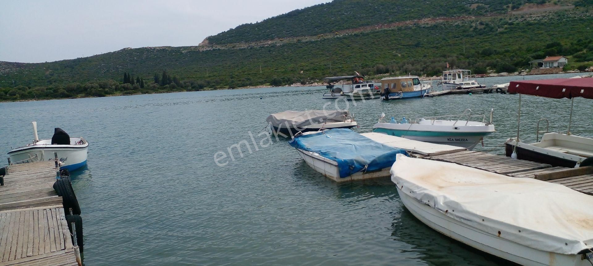 Mor Çiçek Emlak Karaburun Mordoğan Körfez Mevki Arsa
