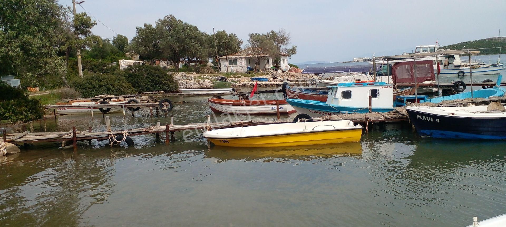 Mor Çiçek Emlak Karaburun Mordoğan Körfez Mevki Arsa - Görsel 6
