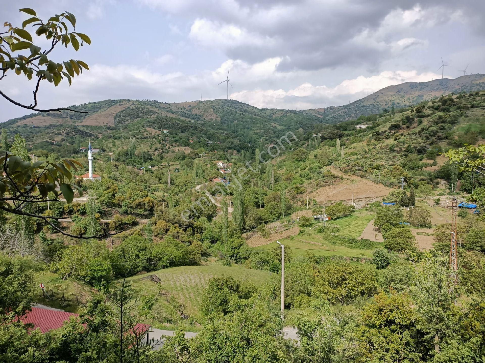 Mor Çiçek Emlak Tire Yamandere Satılık Ceviz Bahçesi
