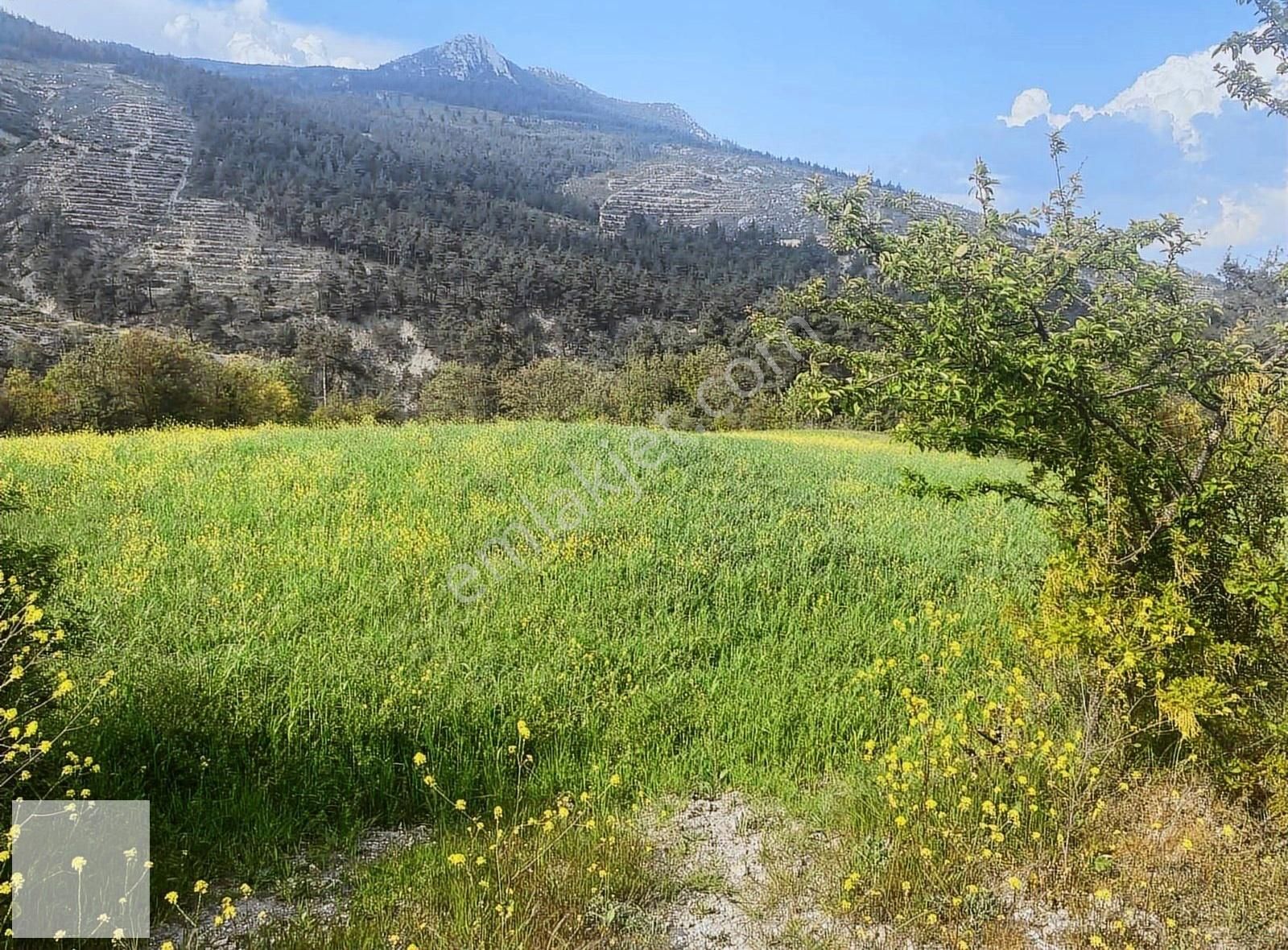 Çiftlikköyünde Yol Kenarı Mükemmel Bir Yer
