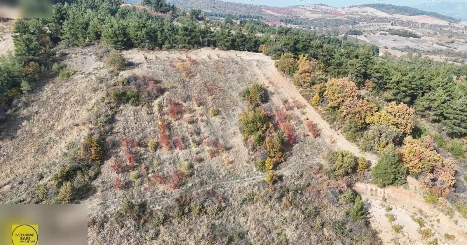 Turpa'dan Dağyeni Köyde Satılık Manzaralı Kiraz Bahçesi