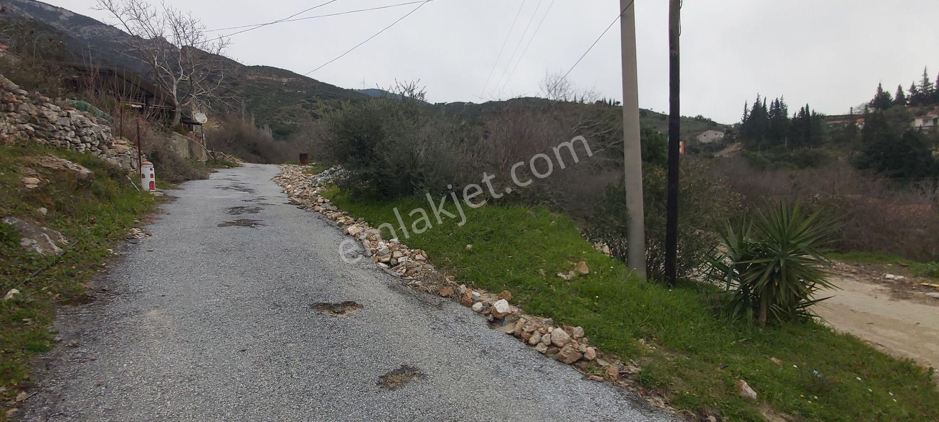 Söke Güllübahçe Mah.de 424 M² Hobi Bahçesi