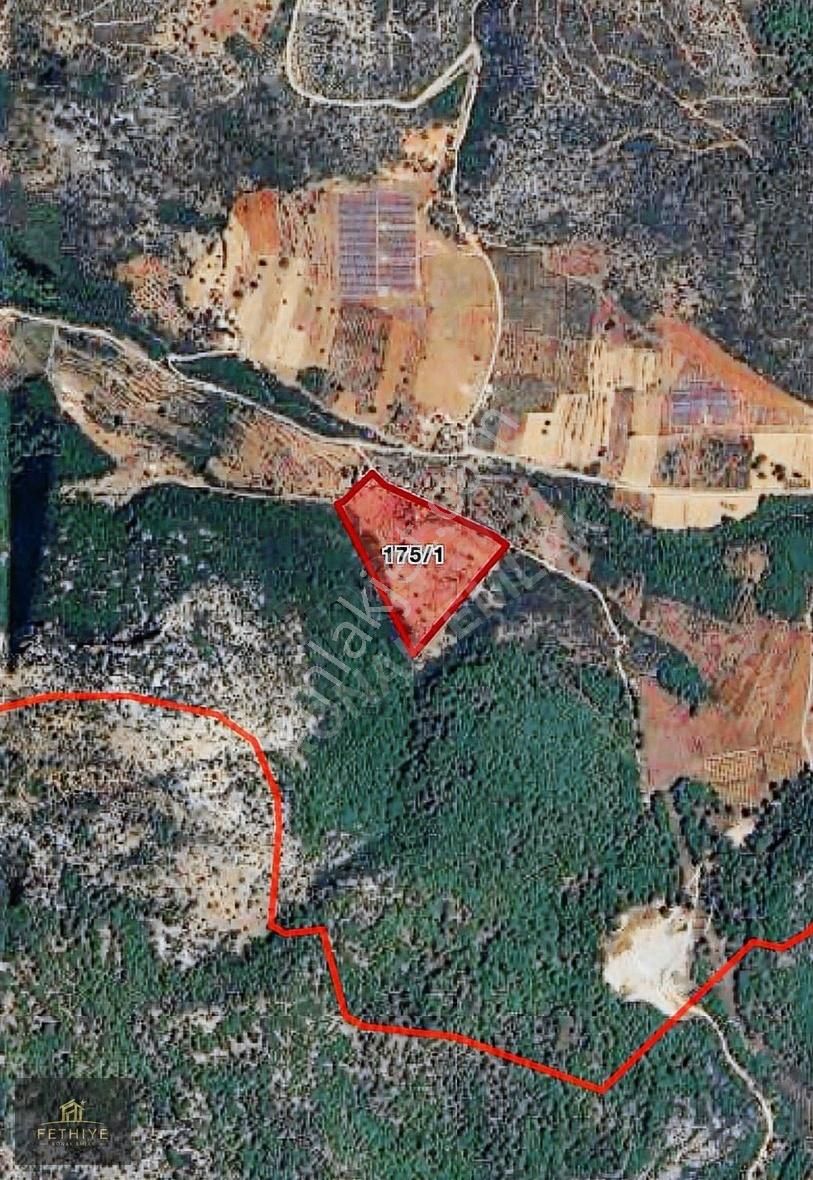 Seydikemer Kabaağaç Mahallesinde Hobi Çiftliğine Uygun 11.000 M