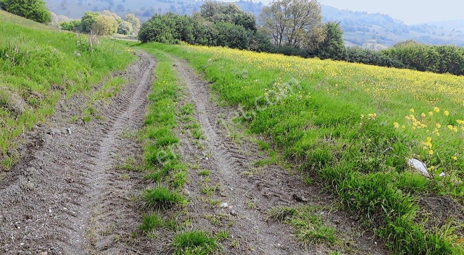 Yolu Mevcut Yatırım Fırsatı!