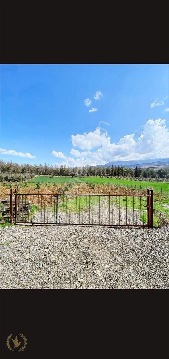 Seydikemer'in İl Köyü Kıncılar Mah 2450mt Bahçemiz Satılık