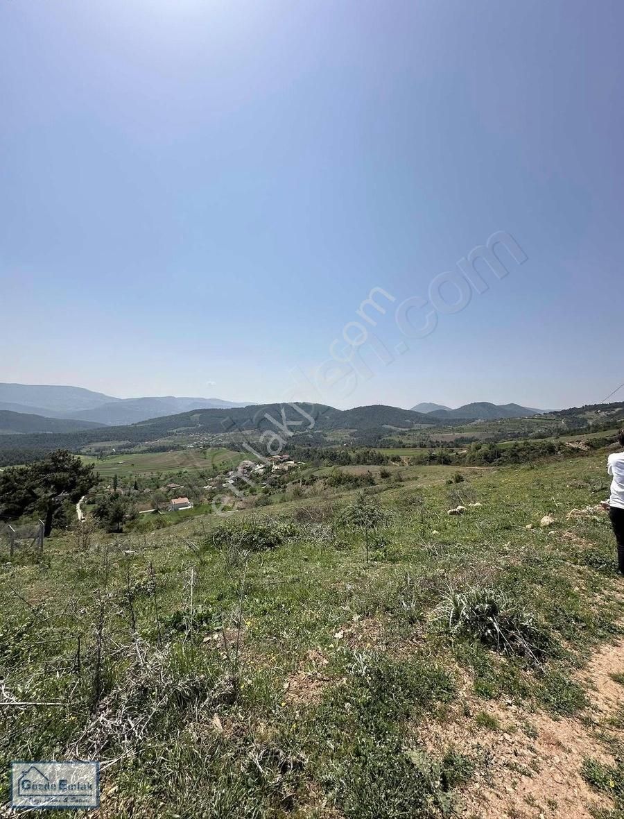 Gözde Emlak Çamlık Resmi Yola Cephe 10.500 M2 Manzaralı Arazi