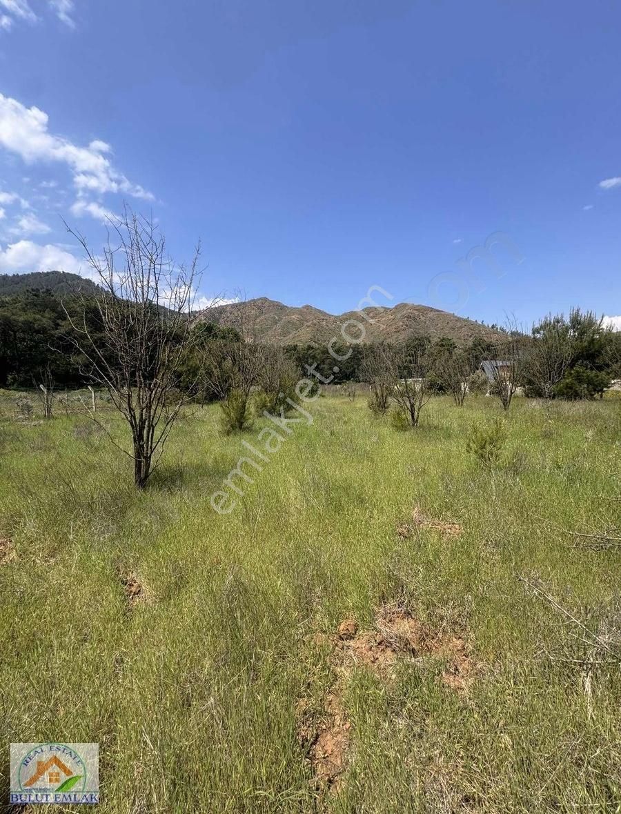 Bulut'tan Hisarönü Değirmenyanın'da 5.667 M2 Satılık Tarla - Görsel 3