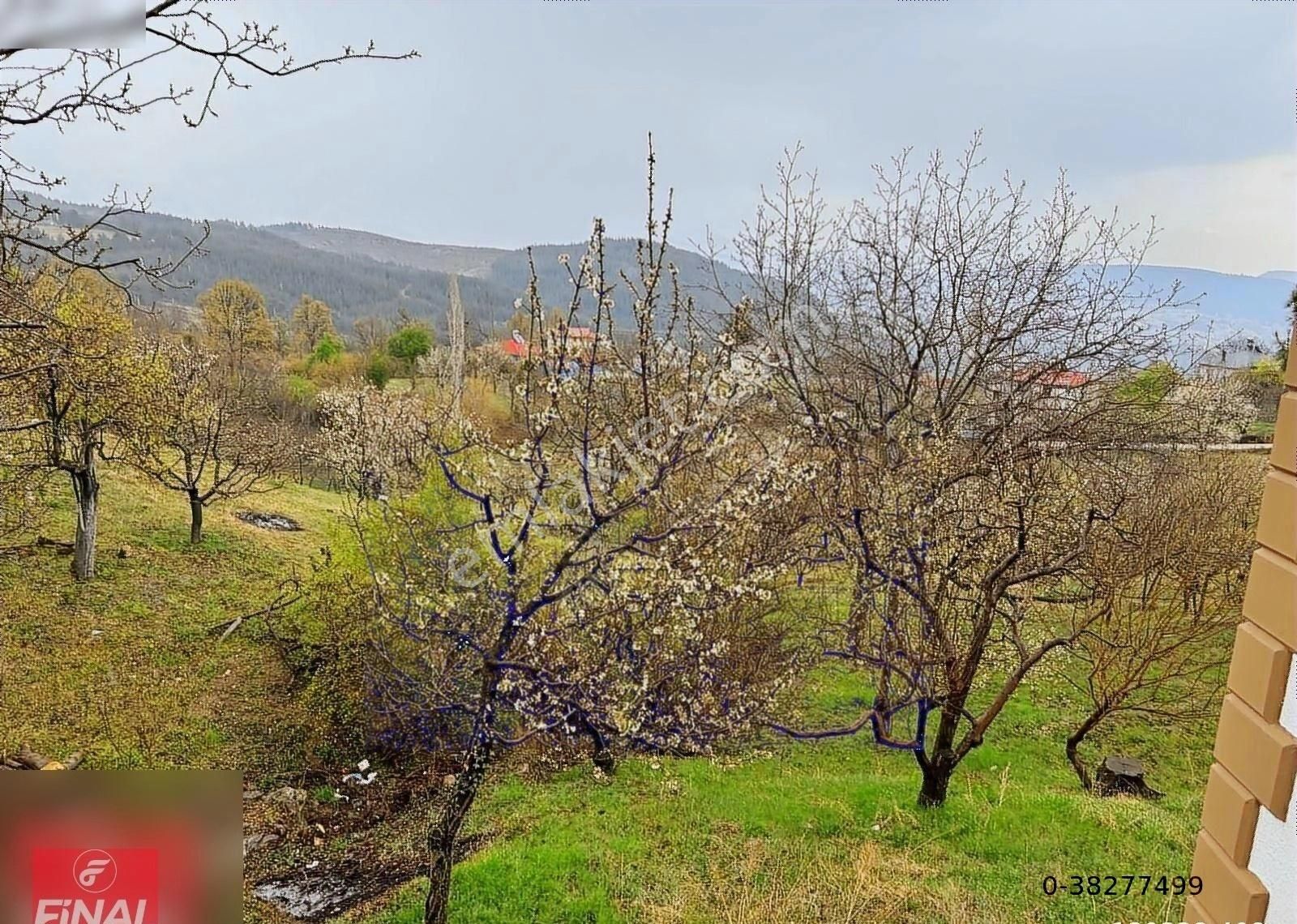 Final Emlaktan Fakılar Da 515m² Arsa İçinde 2 Katlı Müstakil Ev - Görsel 3