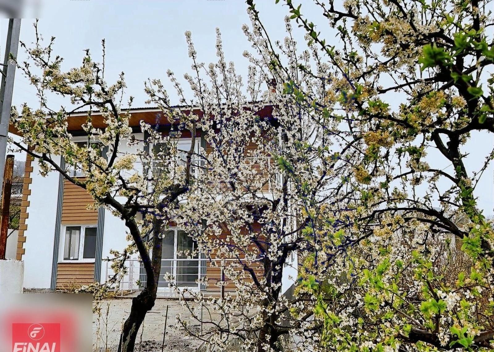 Final Emlaktan Fakılar Da 515m² Arsa İçinde 2 Katlı Müstakil Ev - Görsel 19