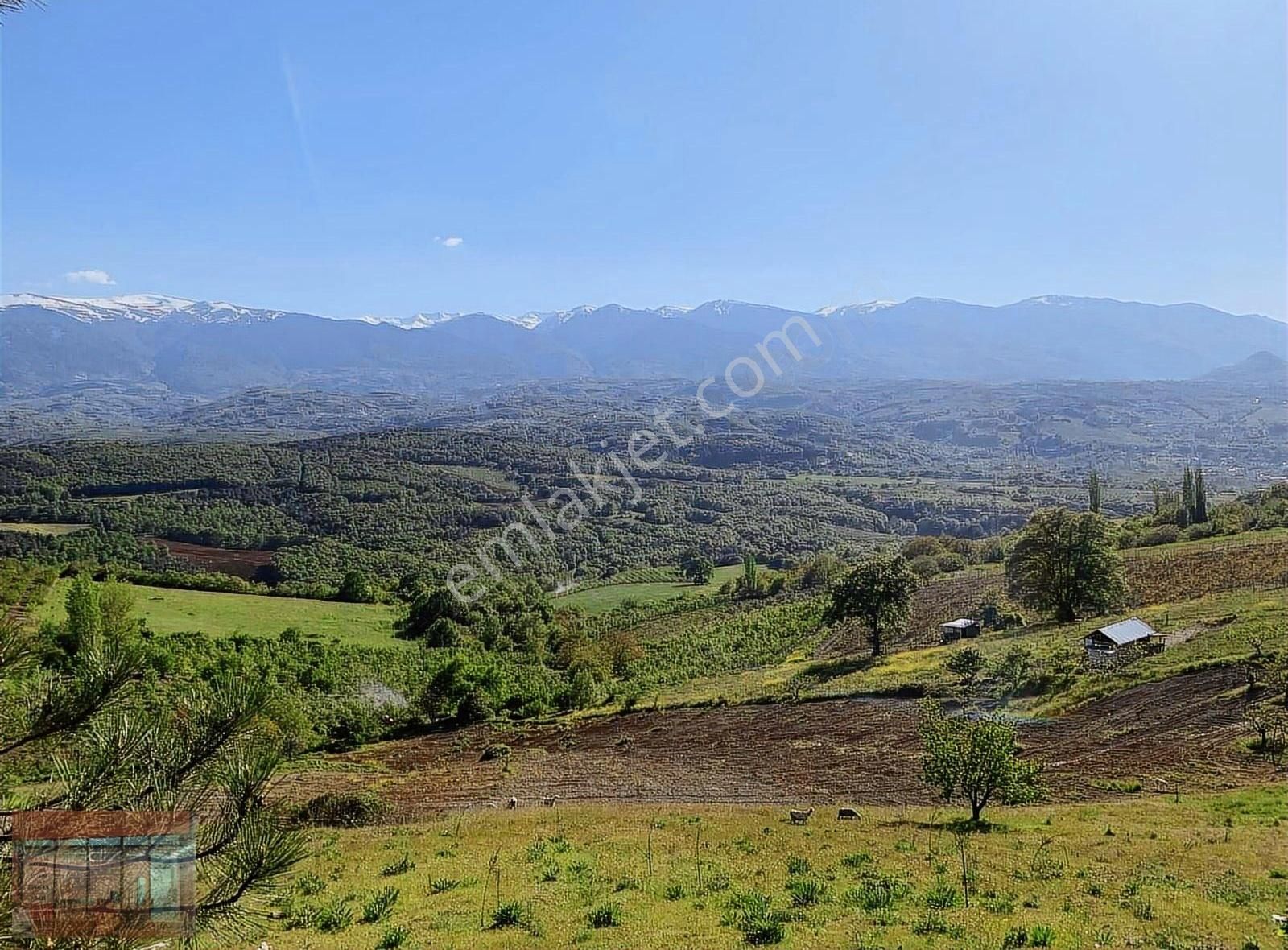 Aktaş 'tan Kestel Ümit Alanda Satılık Tarla 1087 M2 - Görsel 5
