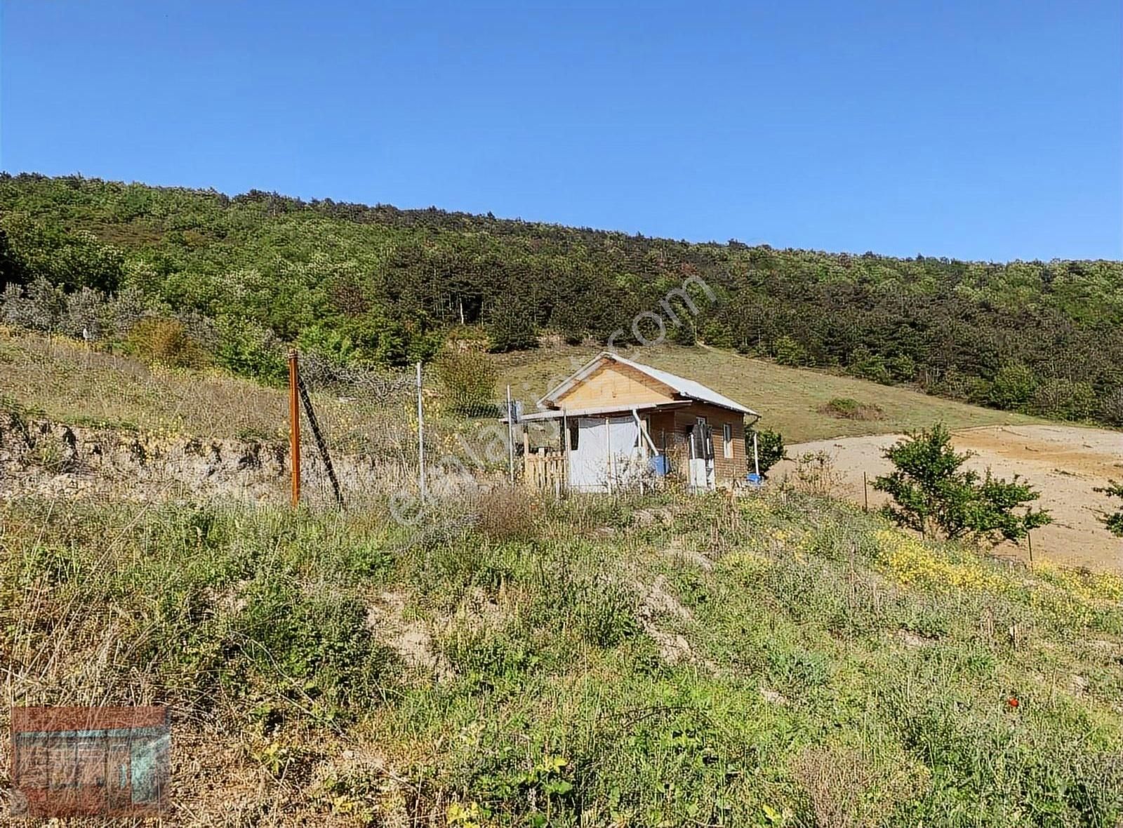 Aktaş 'tan Kestel Ümit Alanda Satılık Tarla 1087 M2 - Görsel 2