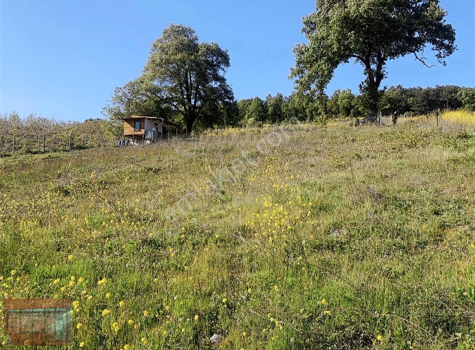 Aktaş 'tan Kestel Ümit Alanda Satılık Tarla 1087 M2 - Görsel 17