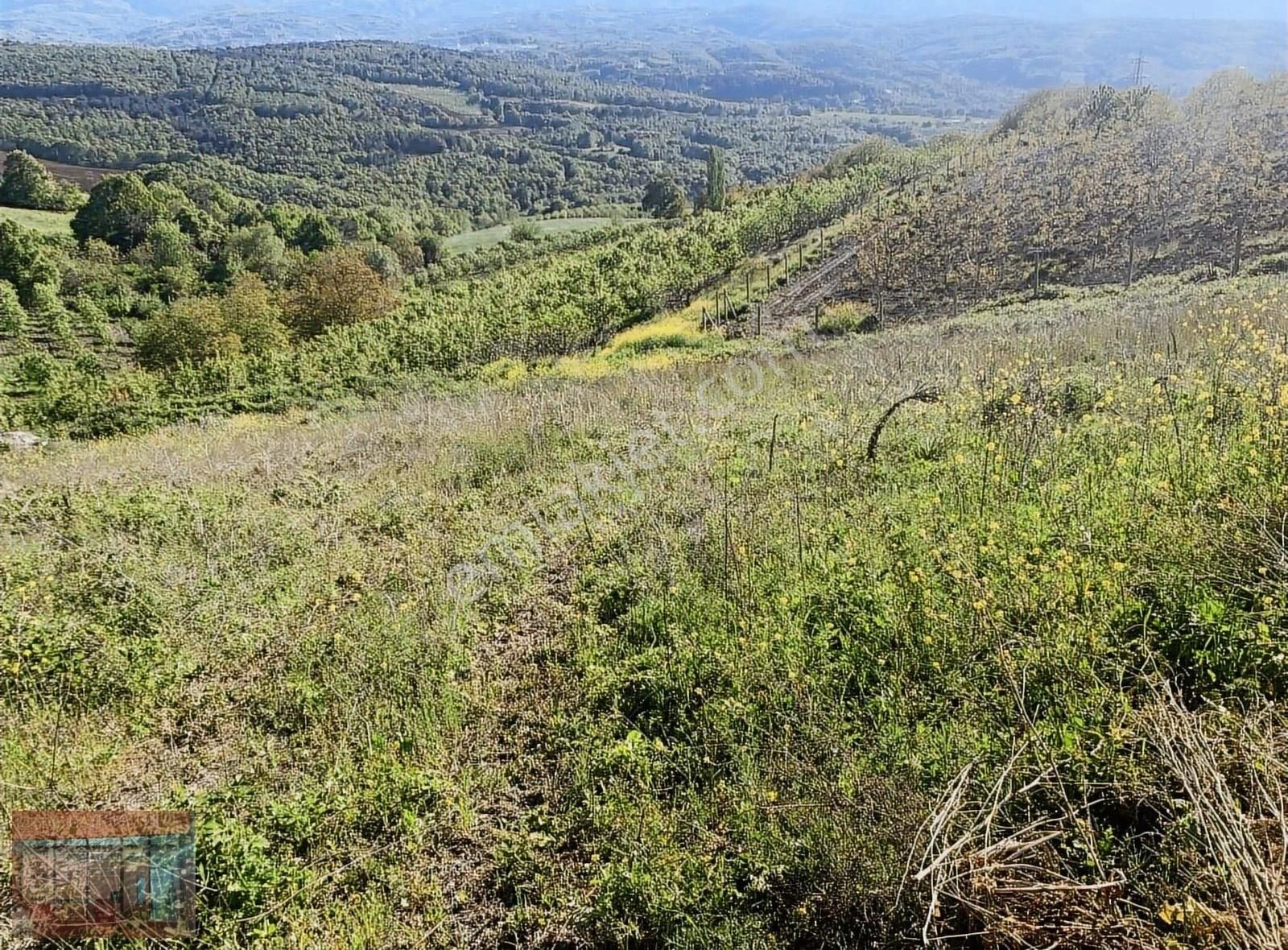 Aktaş 'tan Kestel Ümit Alanda Satılık Tarla 1087 M2 - Görsel 10