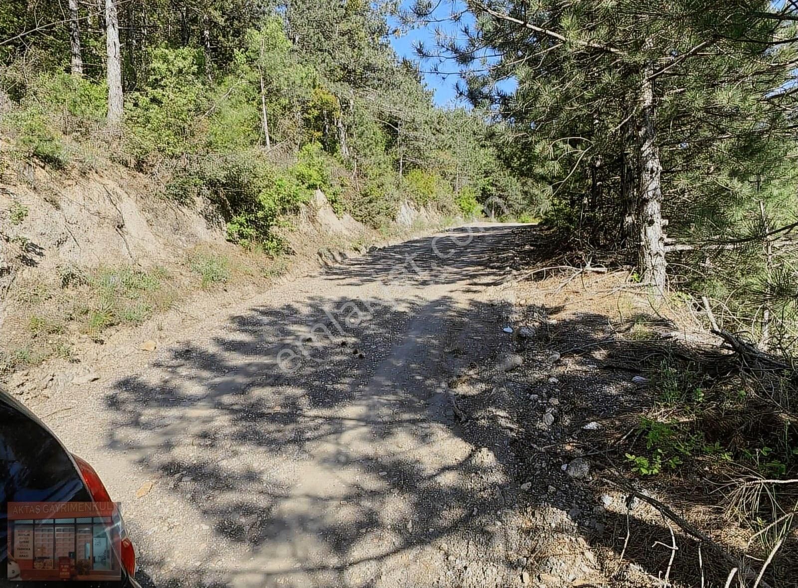 Aktaş 'tan Kestel Ümit Alanda Satılık Tarla 1087 M2 - Görsel 6