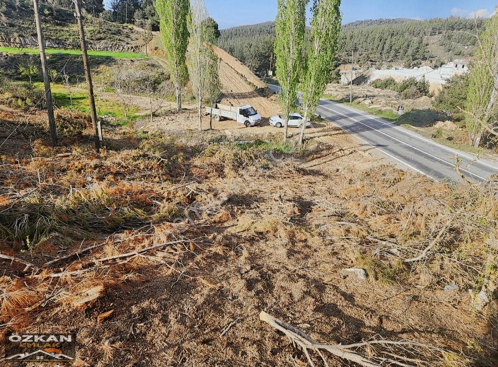 Aydın Bozdoğan Örmepınar Da Yola Sıfır Satılık 12.290m2 Tarla