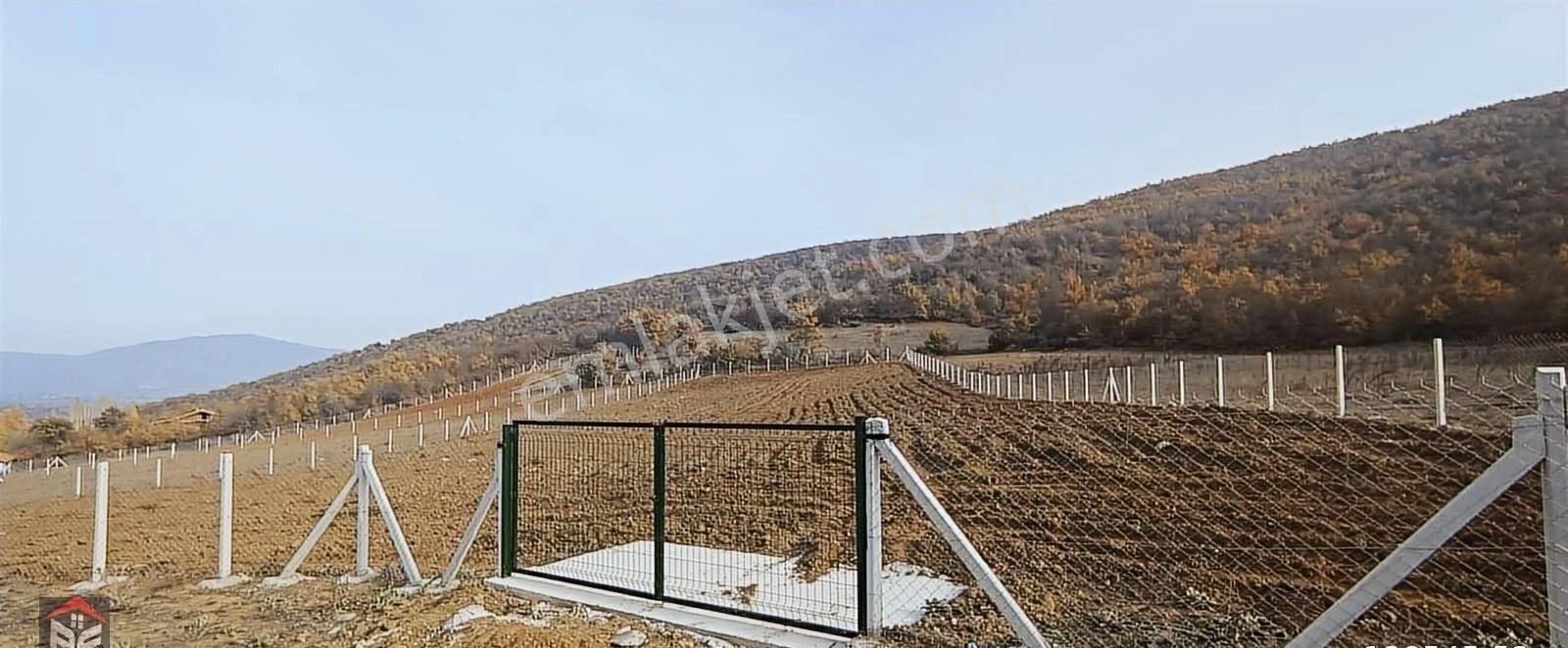Bayrakcı Emlak'tan Çamağazı Köyünde Satılık Arsa