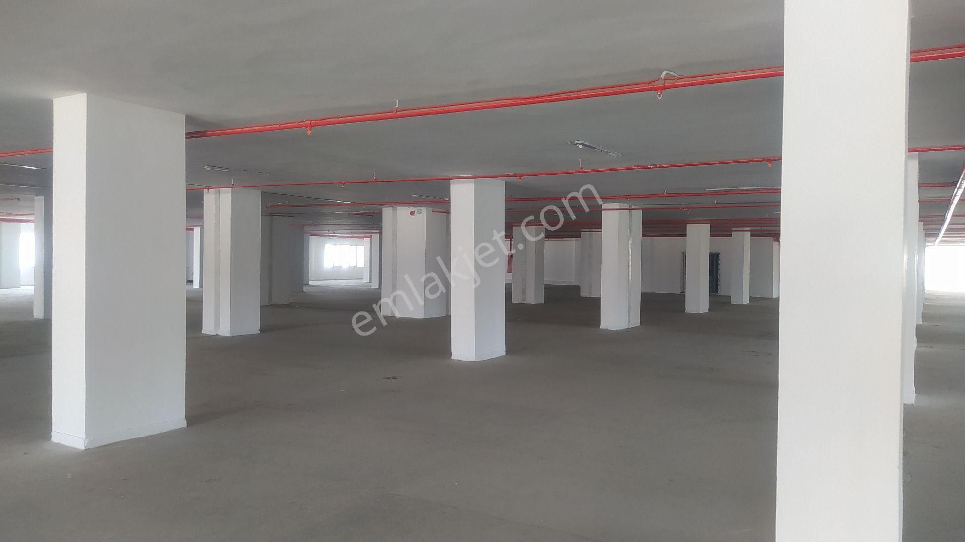 Halkalı Merkez Kiralık İmalathene Ofis - Görsel 11