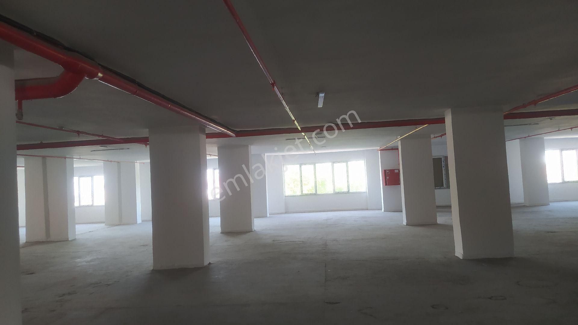 Halkalı Merkez Kiralık İmalathene Ofis - Görsel 18