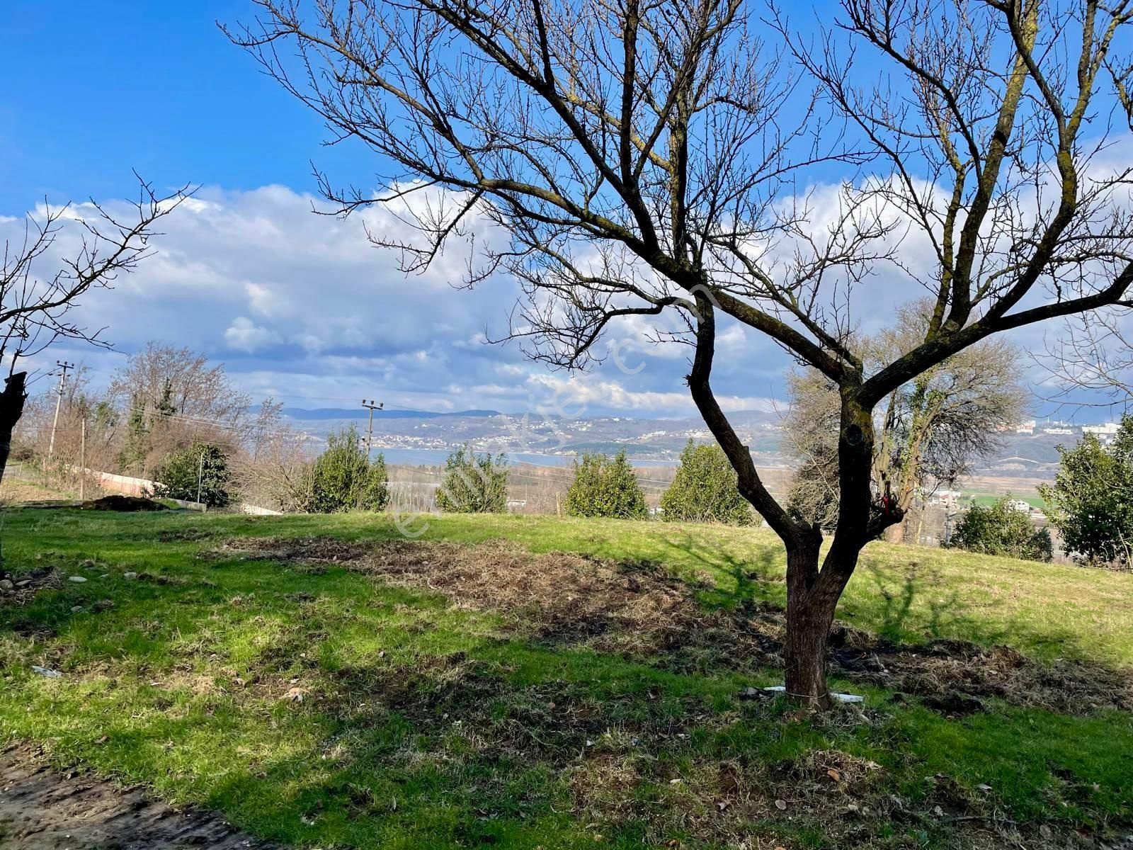 C21’den Sapanca Göl Manzaralı Doğayla İç İçe İmarlı Arsa - Görsel 5