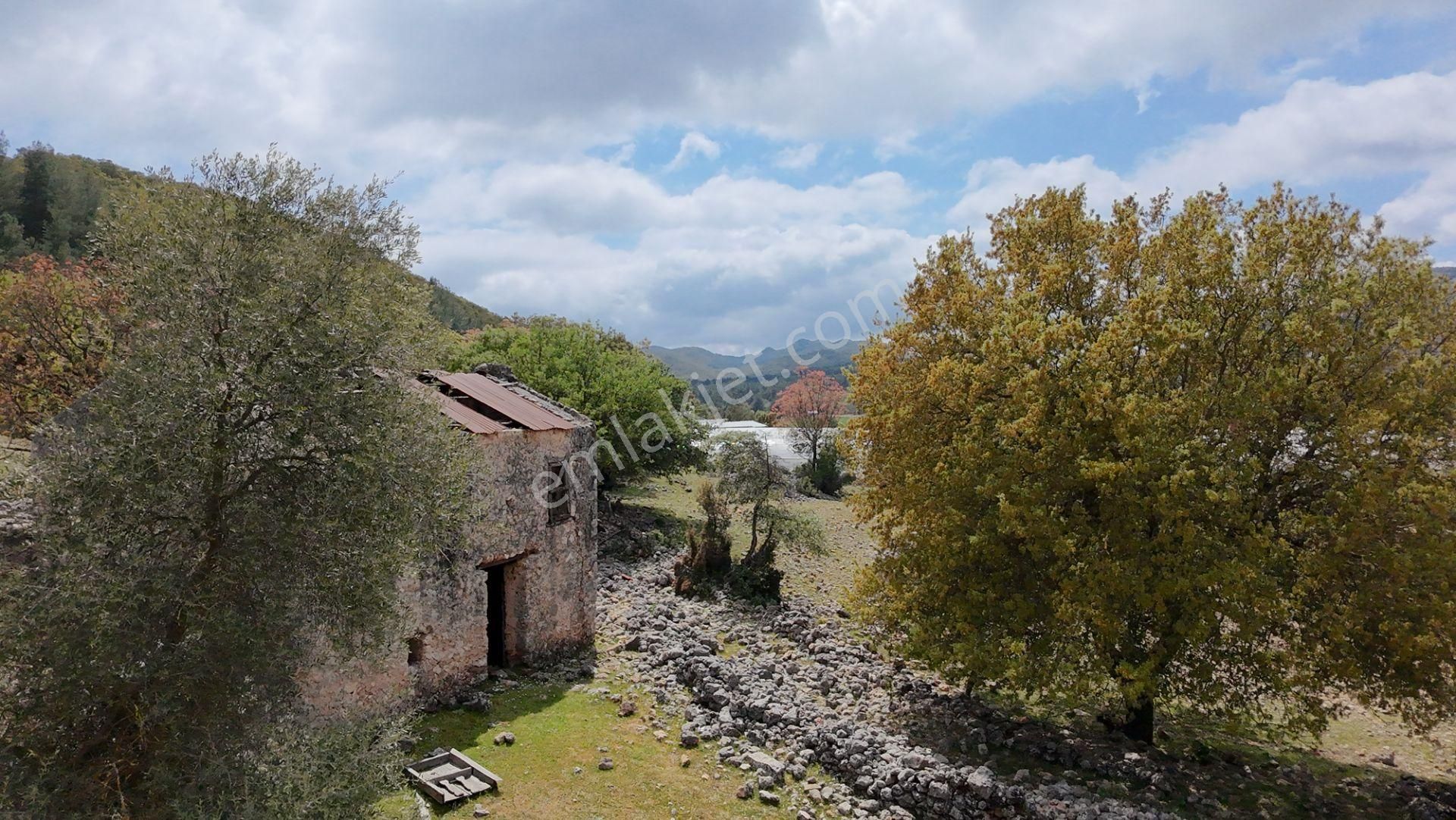 Demre Yavu Satılık Taş Evli 7581 M2 Fırsat Arazi