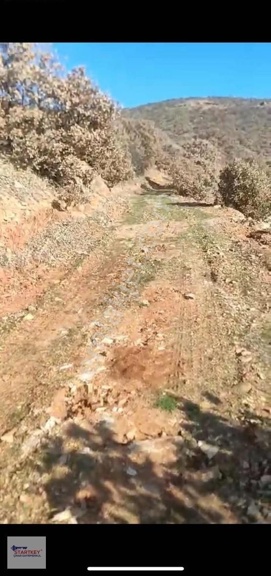 Salihli Derbent Mah.de Mükemmel Konumunda Fırsat Tarla