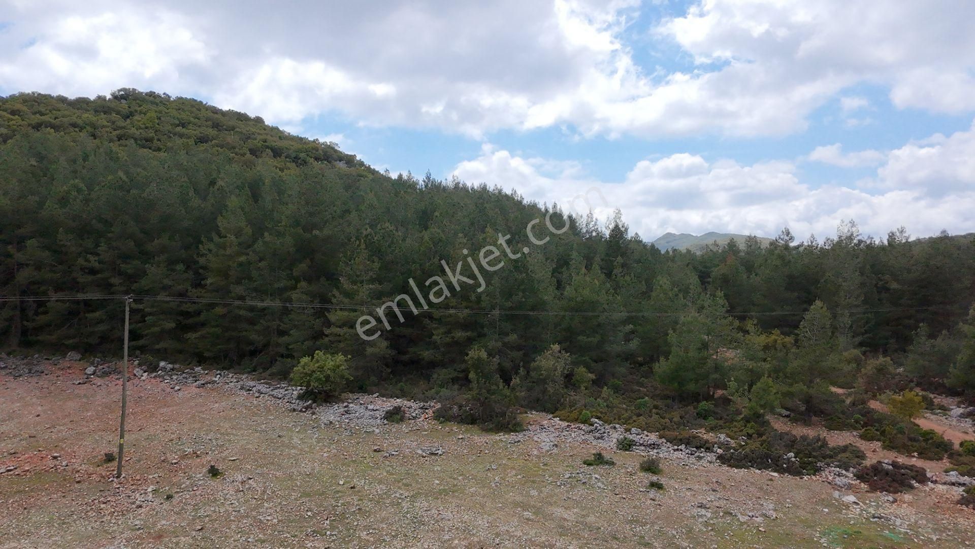 Demre Yavu Satılık 3587 M2 Yol Kenarı Fırsat Arazi