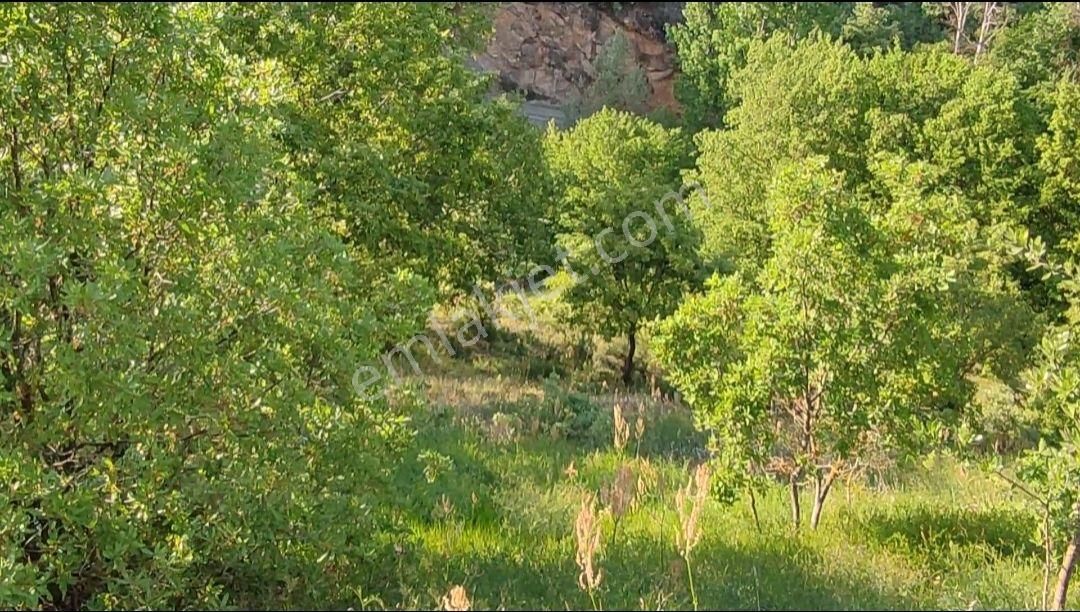 ️ Bursa Orhaneli Göynükbelen'de Satılık 2 Adet Tarla – Toplam 6.900 M² - Görsel 6