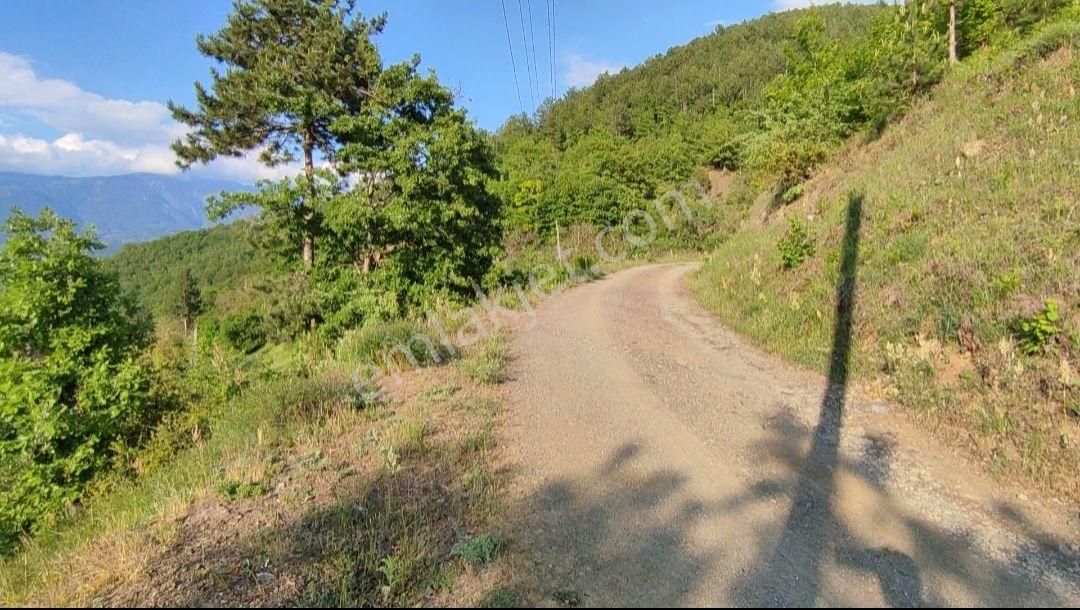 ️ Bursa Orhaneli Göynükbelen'de Satılık 2 Adet Tarla – Toplam 6.900 M² - Görsel 3