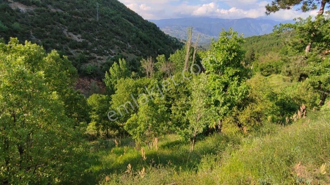 ️ Bursa Orhaneli Göynükbelen'de Satılık 2 Adet Tarla – Toplam 6.900 M² - Görsel 5