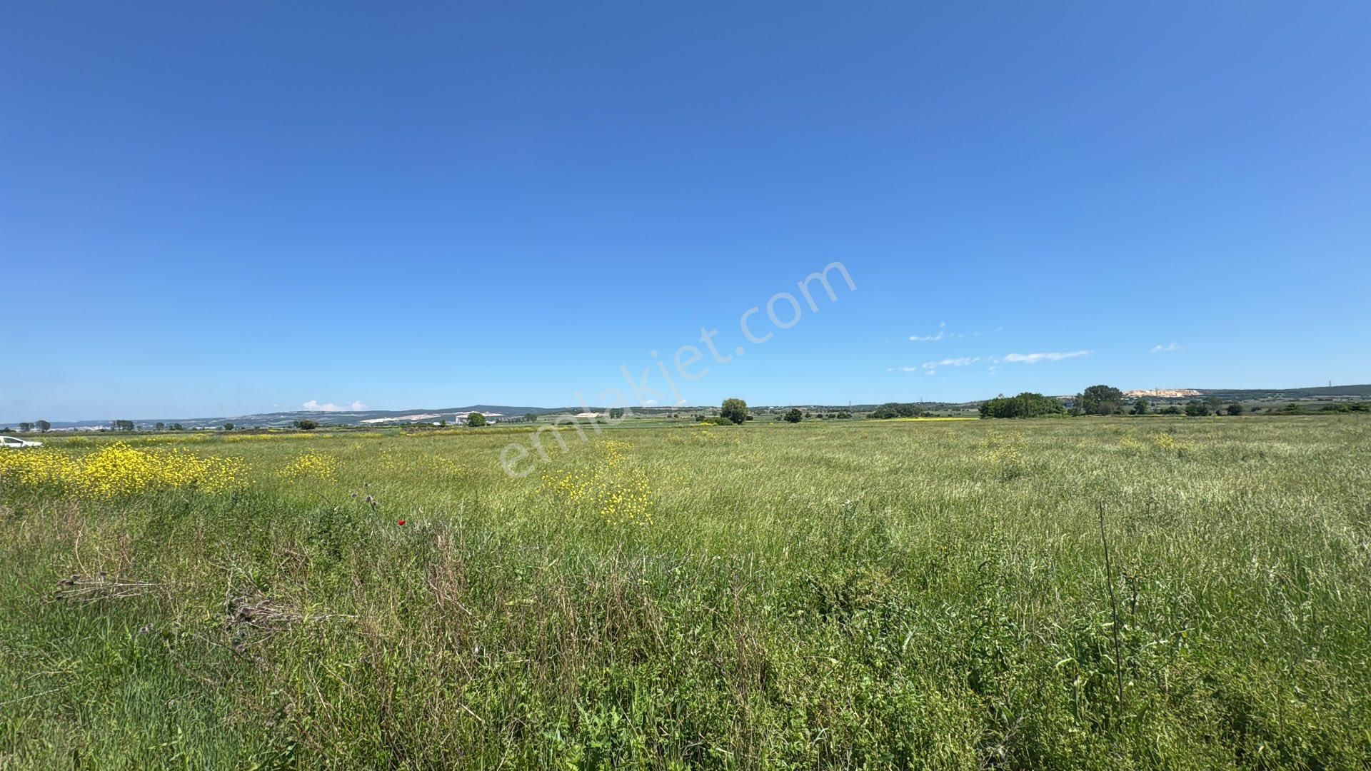 Kırklareli Vize Evrenli Satılık Tek Tapu 2400m2 Tarla