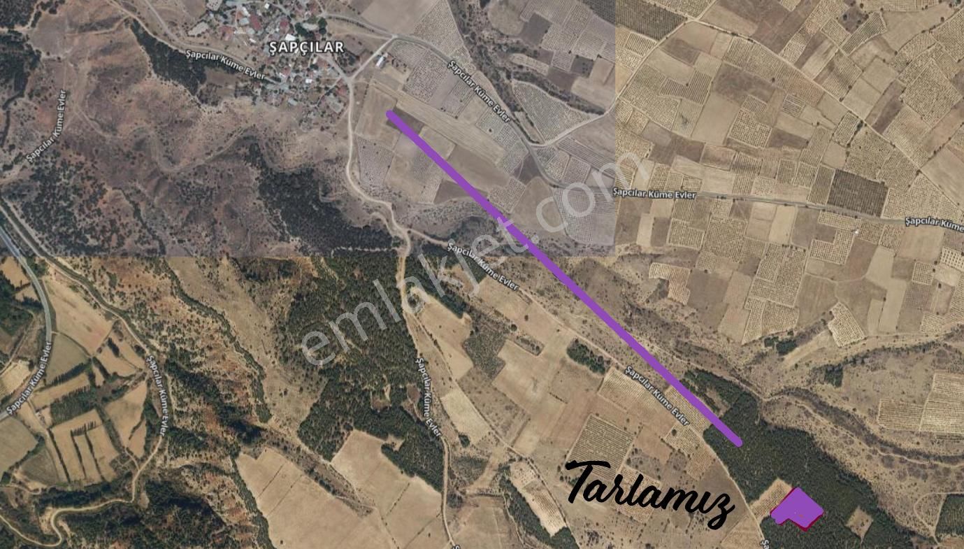 Hierapolis'den Denizli Çal Şapcılar Köyünde Satılık 4854m2 Yatırımlık Tarla - Görsel 4
