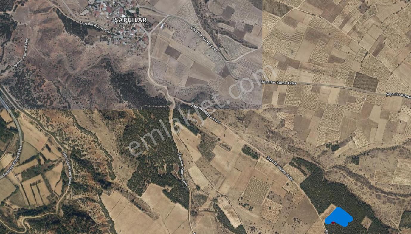 Hierapolis'den Denizli Çal Şapcılar Köyünde Satılık 4854m2 Yatırımlık Tarla - Görsel 6