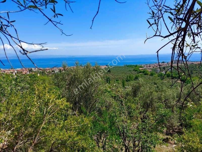 Çakırca Mah 1474m2 Gölü Gören Yerleşik İmara Sınır Satılık Tarla
