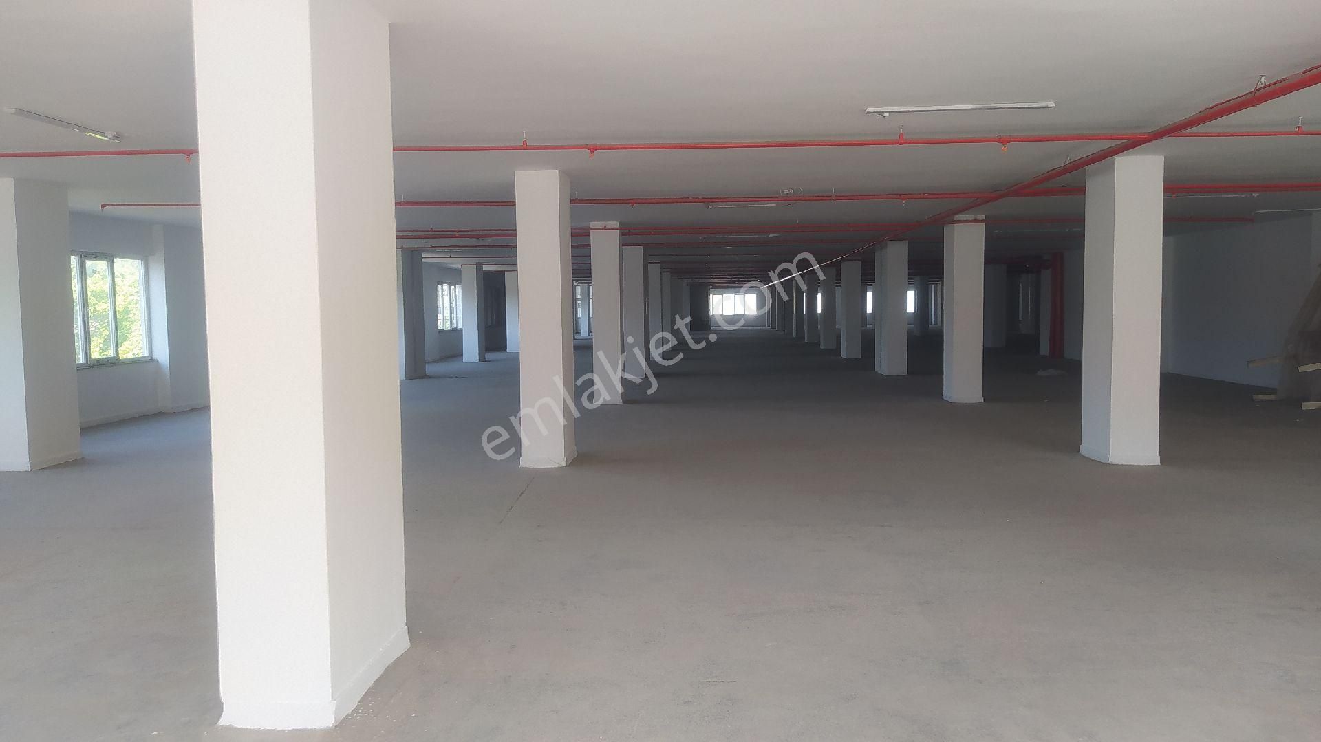 Halkalı Kiralik İmalathane 3.000 M2