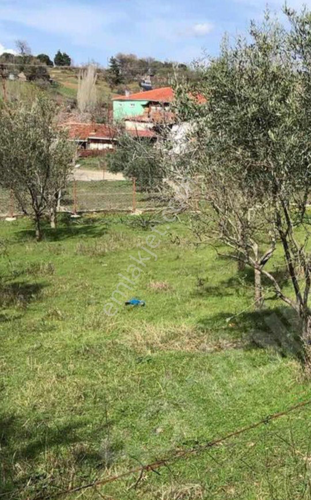 Oksijen Deposu Külcüler'de %80 2kat İmarlı Arsa