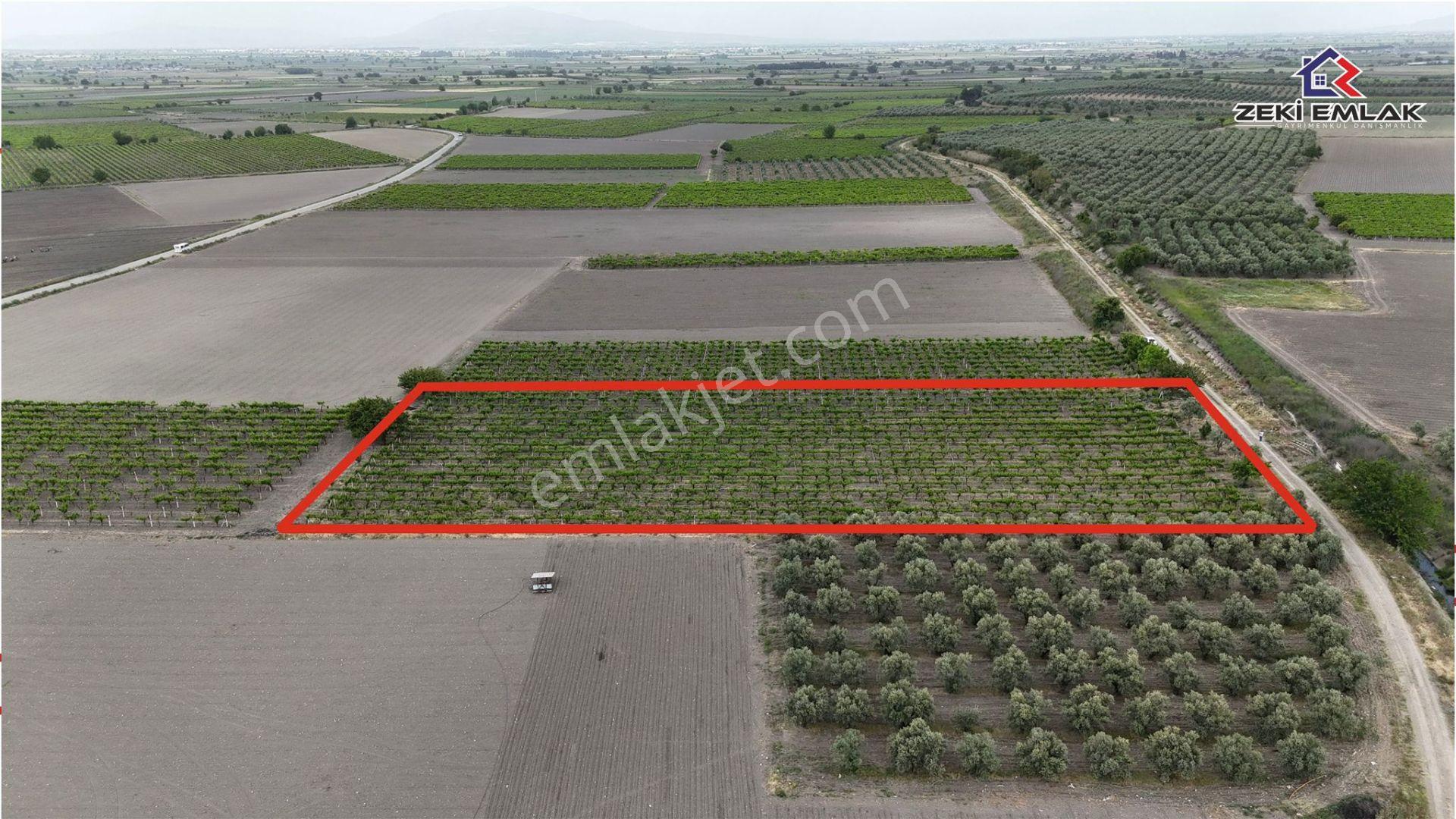 Zeki Emlak'tan Karayenice Mh. Yola Sıfır Satılık 5341 M ² Bağ - Görsel 3