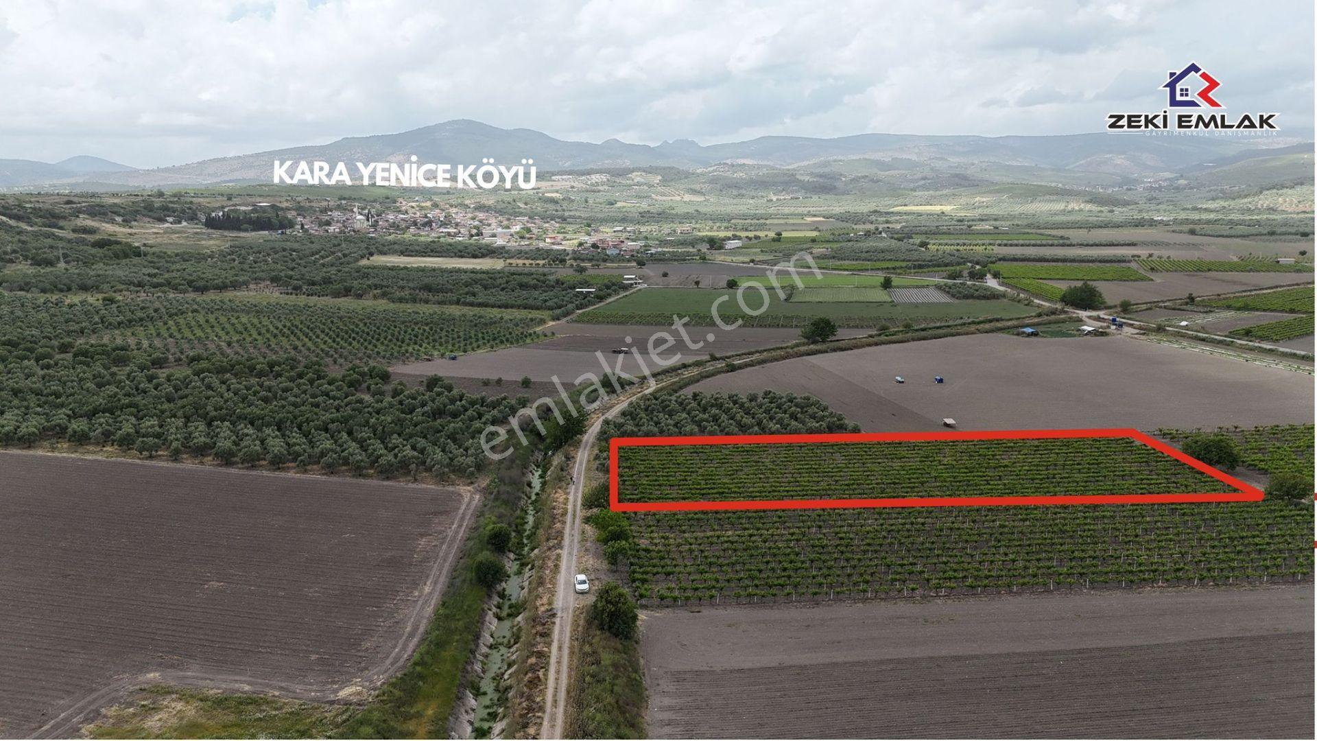 Zeki Emlak'tan Karayenice Mh. Yola Sıfır Satılık 5341 M ² Bağ - Görsel 4