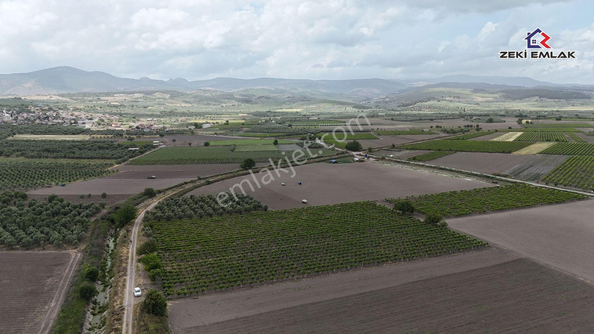 Zeki Emlak'tan Karayenice Mh. Yola Sıfır Satılık 5341 M ² Bağ - Görsel 5