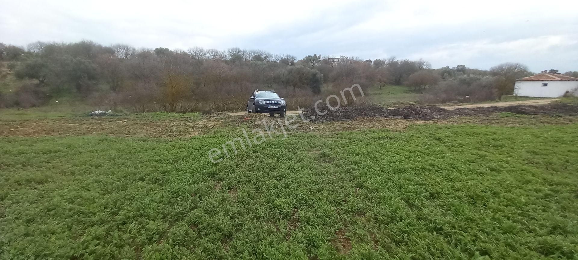 Manisa Üçpınar Da Satılık Yatırımlık Kupon14.000 M2 Boş Tarla