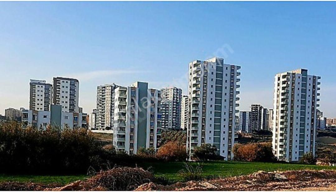 Sıfır Daire