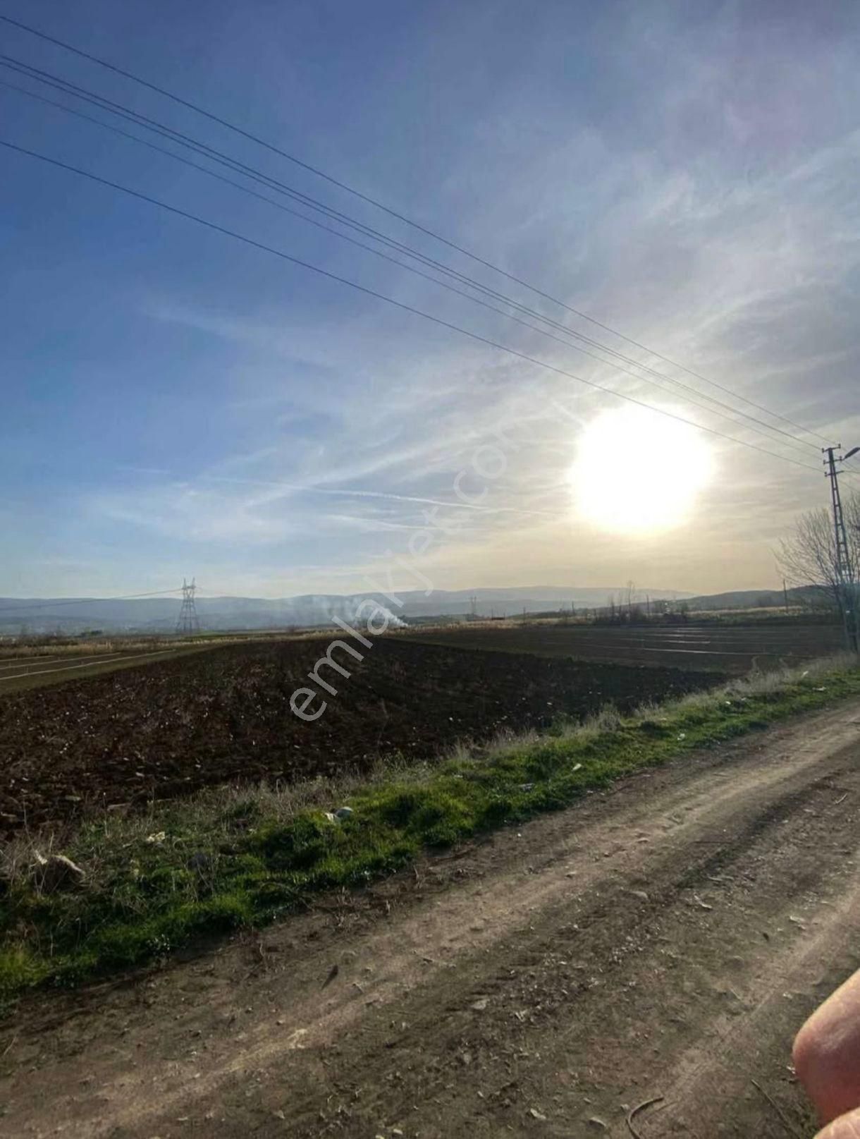 Satılık Tarla