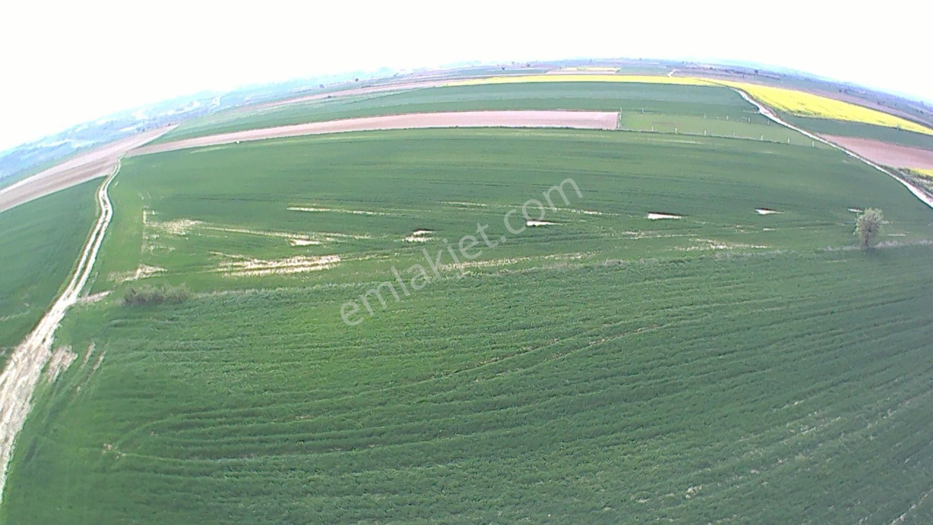 Tekirdağ Kapaklı 15.500 M2 Resmi Yola Cephe Tek Tapu Tarla