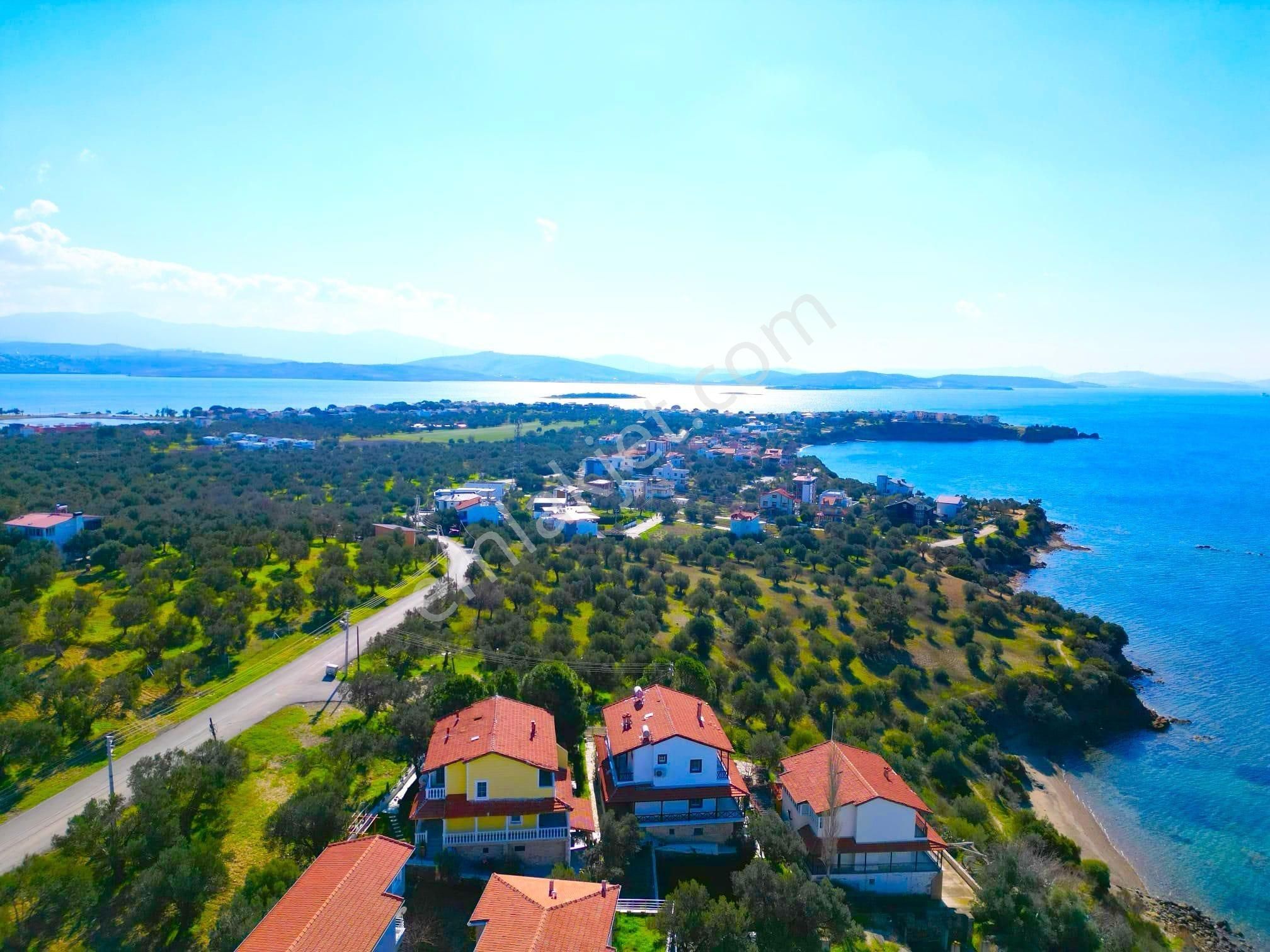 Satılık Yatırımlık Zeytinlik – Şakran Sayfiye Mahallesi, Aliağa / İzmir