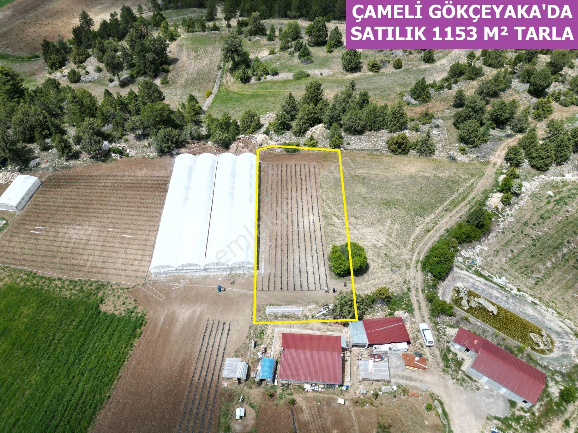 🦋lobby Fortis'ten Satılık Çameli Gökçeyaka'da 1153 M² Tarla🦋