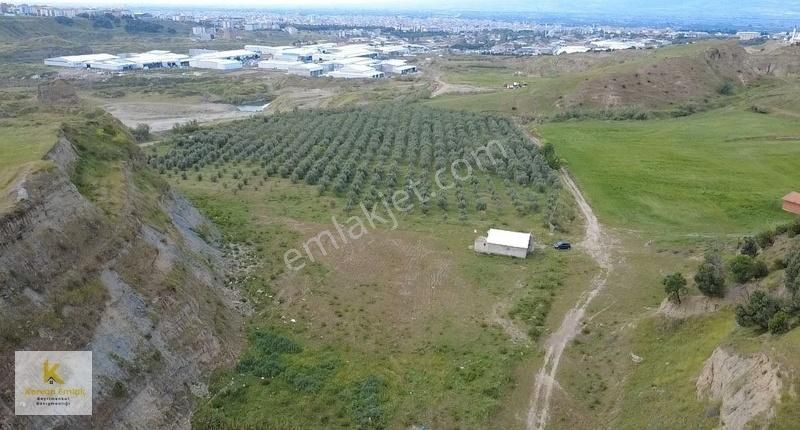 Turgutlu Fatih Sanayi'ye Komşu Yatırım Fırsatı Sunan 6dönüm Arsa