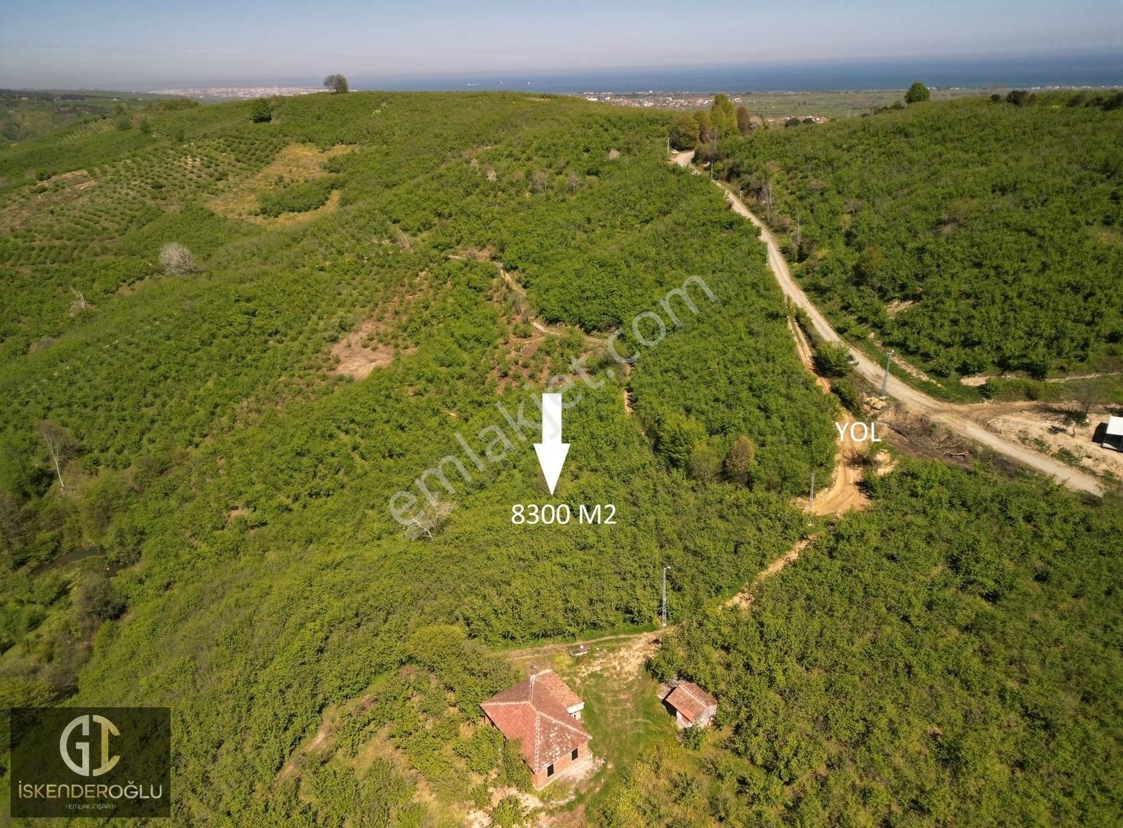 Fırsat Satılık 8300m2 Fındıklık