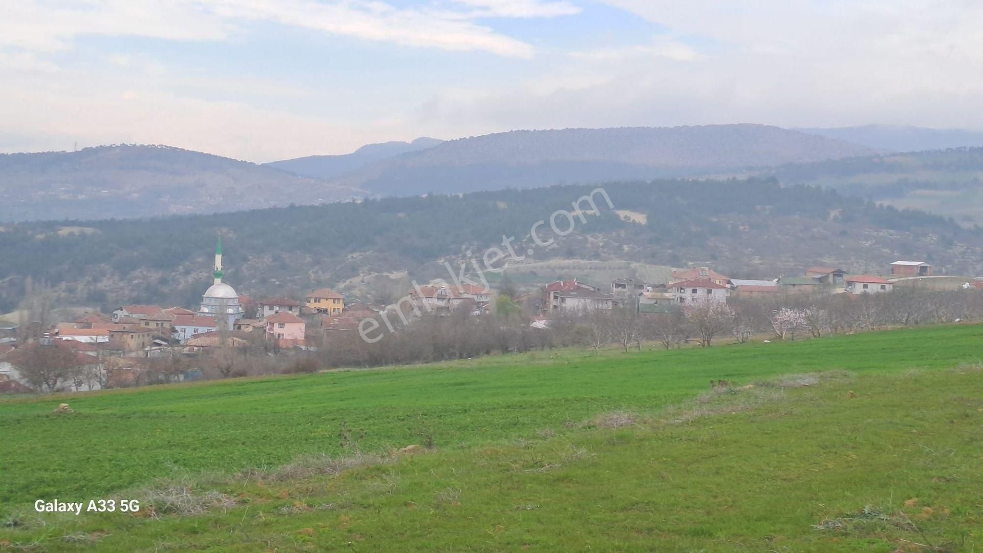 Sakarya Geyve 8.247 M2 Müstakil Parsel Köy Merkezine Yakın Tarla